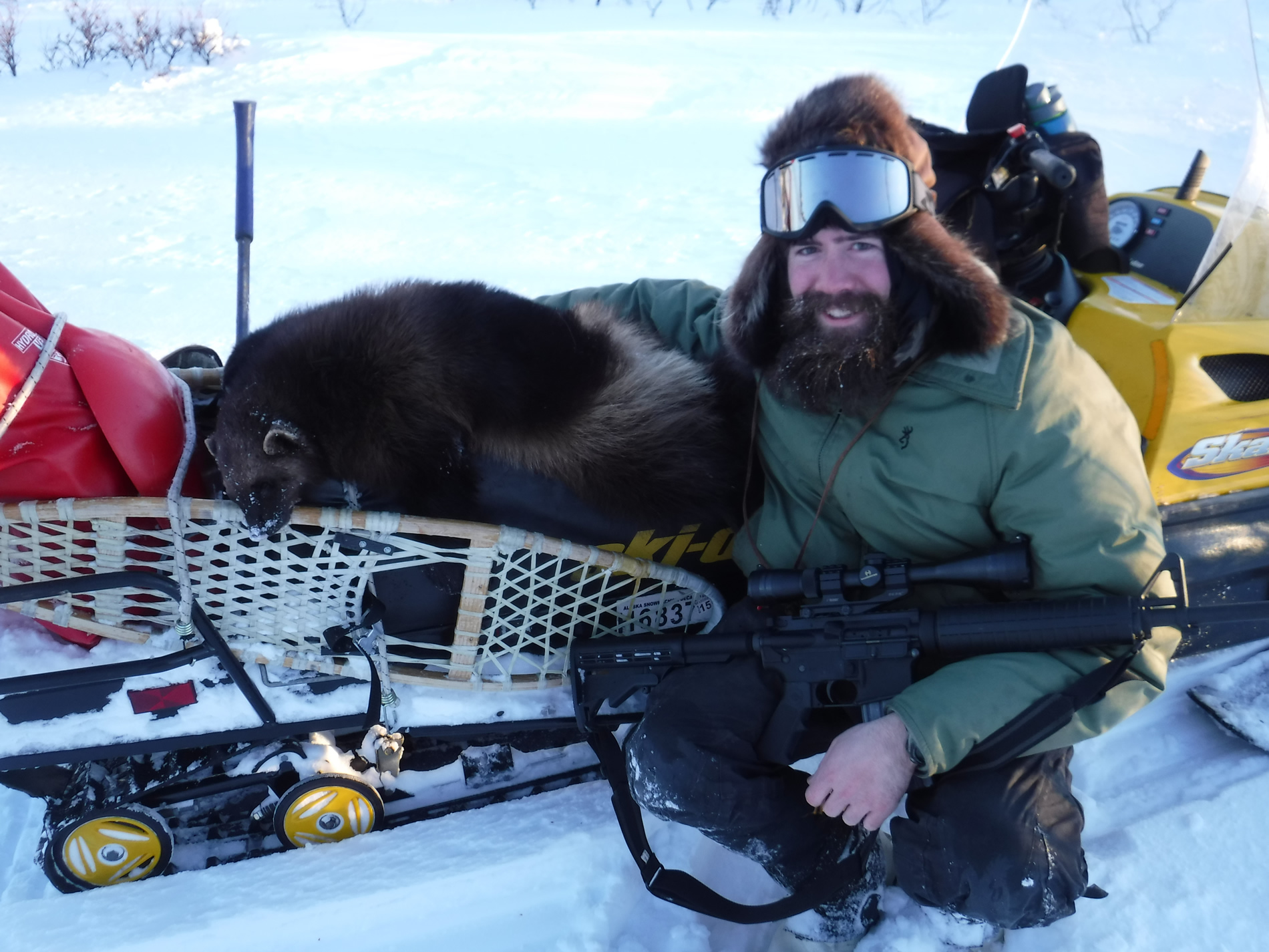 Wolf/Predator Hunt  Big Alaska Outdoors